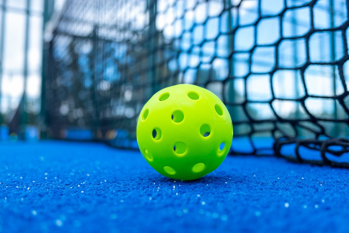 Ball of pickleball in front of the net.